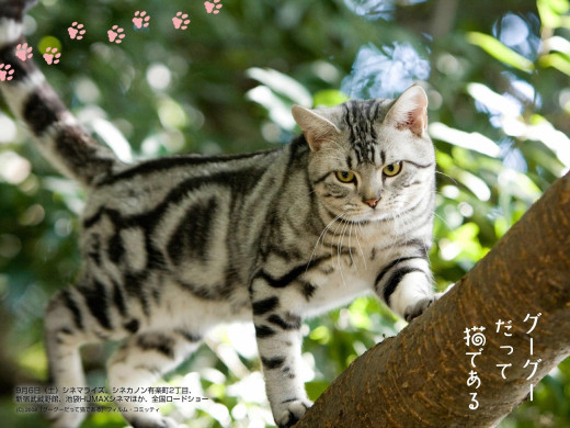 360964 (a): :1600x1200